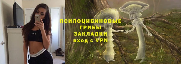 дживик Алексин